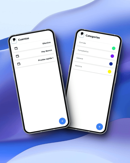 Cuentas y Categorías